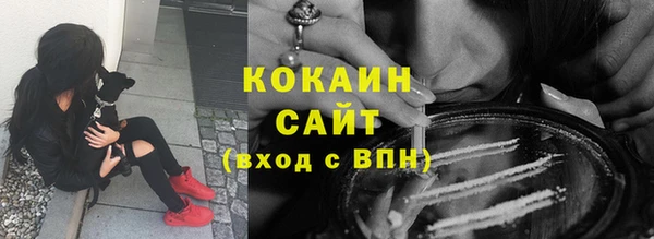 стаф Кукмор