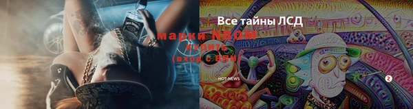 стафф Куйбышев