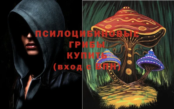 герыч Кулебаки