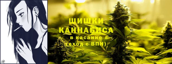 стаф Кукмор