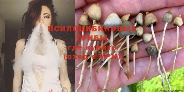 стаф Кукмор