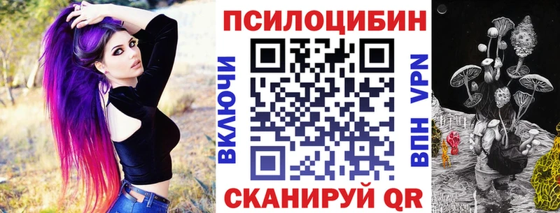Купить где  Ипатово  Псилоцибиновые грибы мухоморы 